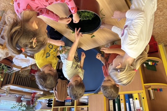 Jak jsme barvili vajíčka - Sluníčka 1