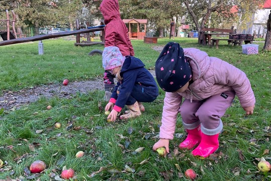 Moštování našich JABLÍČEK 1