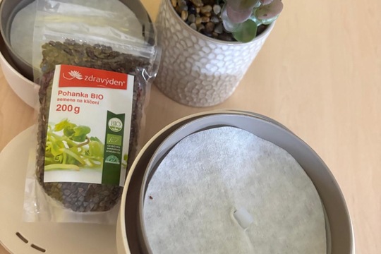 Naše oblíbená aktivita  1