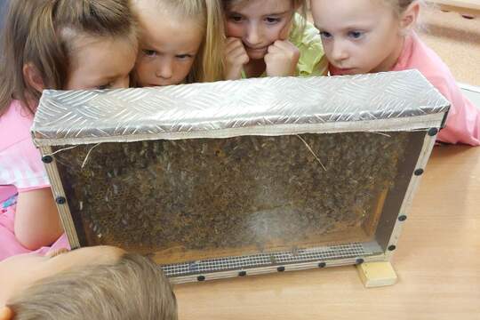 Včelař v mateřské škole 1