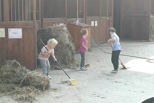 DĚTI Z MŠ MÁNESOVA  KROMĚŘÍŽ  NA FARMĚ  1