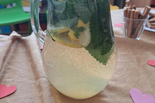 Domácí limonáda 1