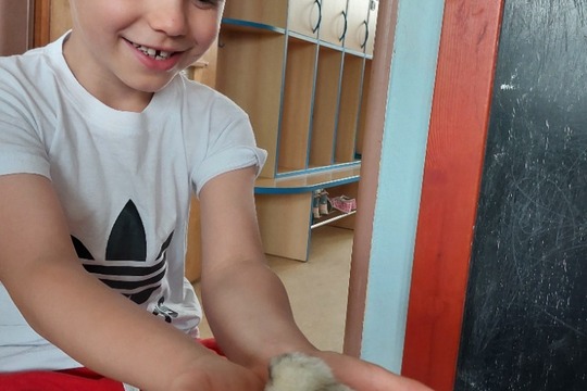 Objevování a poznávání jako každodenní rituál v životě školičky 1