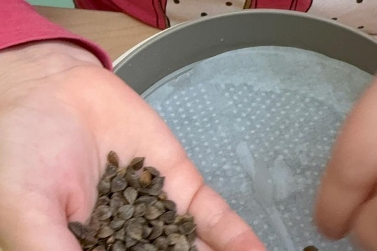 Naše oblíbená aktivita  1