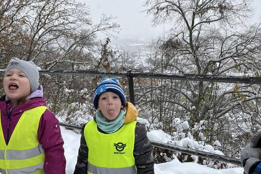 Sovičky z MŠ Dukelských hrdinů - Adventní kartičky Sněhová vločka na jazyku 1