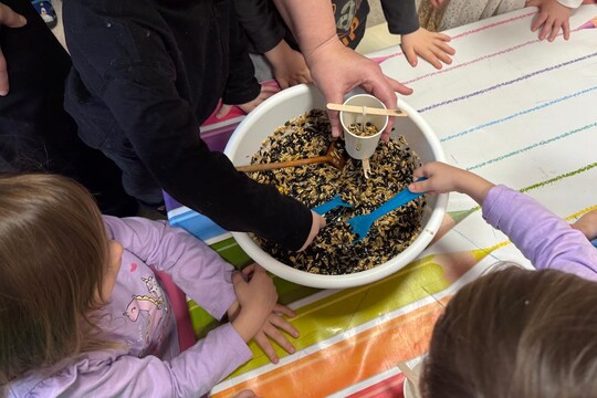 přikrmujeme ptáčky 1