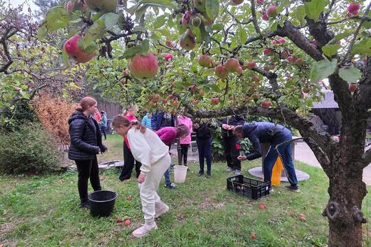 Společné projektové dny ZŠ a MŠ Bohuslavice jako cesta k praktickému vzdělávání a skutečným zkušenostem. 1