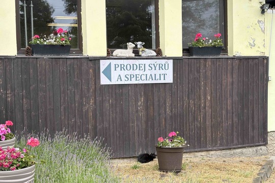 Návštěva farmy v Pěnčíně Návštěva farmy v Pěnčíně 1