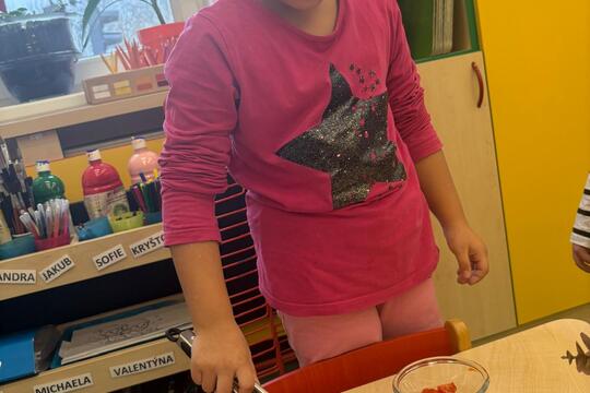 Zeleninová miska podle přání  1