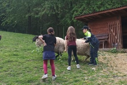 Čtvrťáci poznávali život na farmě i principy ekologického zemědělství Čtvrťáci poznávali život na farmě i principy ekologického zemědělství 1