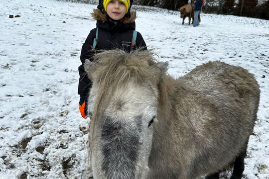 Návštěva poníků v Lísce Návštěva poníků v Lísce 1
