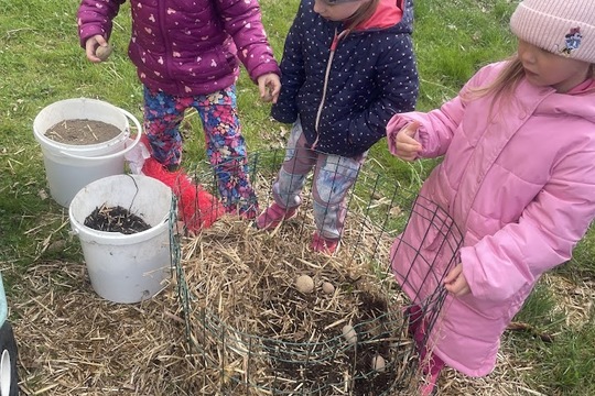 Když kompost ožívá 1