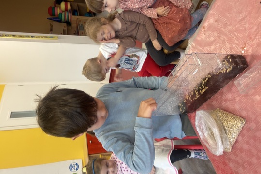 Od semínka k semínku 1