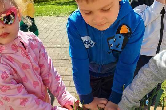 První letošní úroda 1