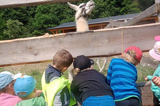 Návštěva lamí farmy  1