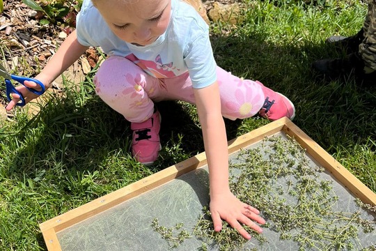 Centrum enviromentální výchovy Stolístek v Linharticích - dobroty ze zahrady 1