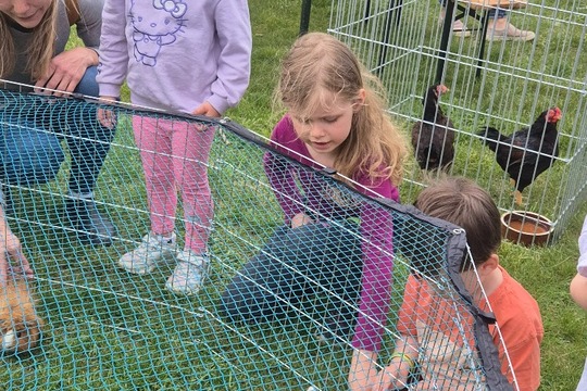 Odpoledne se zvířátky Odpoledne se zvířátky 1