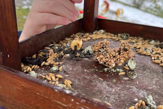 Naše zvířata - naše starost  1