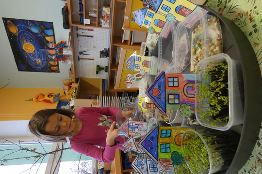 Jak přivoláme jaro? 1