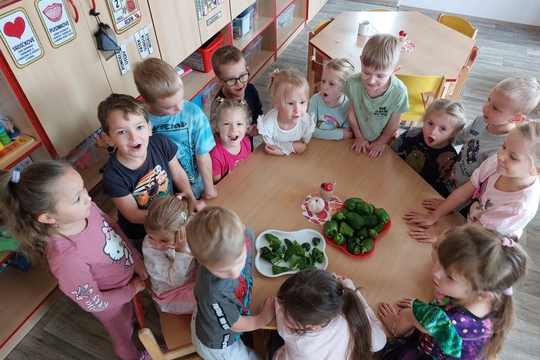 Motýlci z MŠ Kollárova - Sklizeň zelených paprik 1