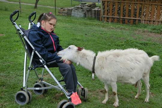 Výlet na kozí farmu do Vizovic 1