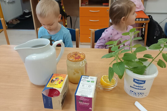 S bylinkami proti rýmě 1