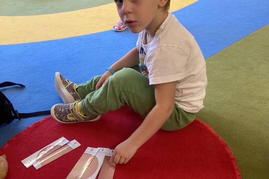 Brambory - Berušky 1