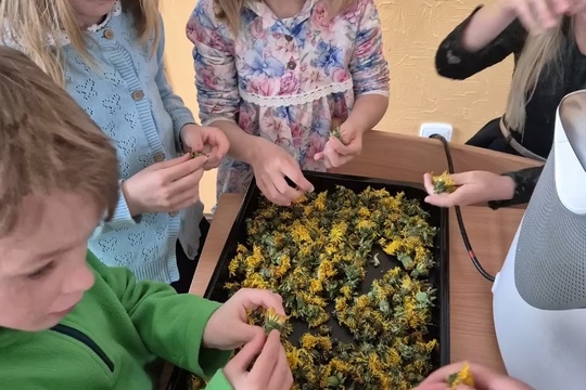 Světový den včel  1