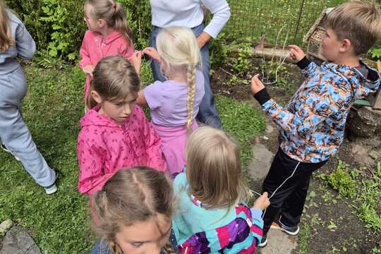 Cesta k jedlé zahradě. Cesta k jedlé zahradě. 1