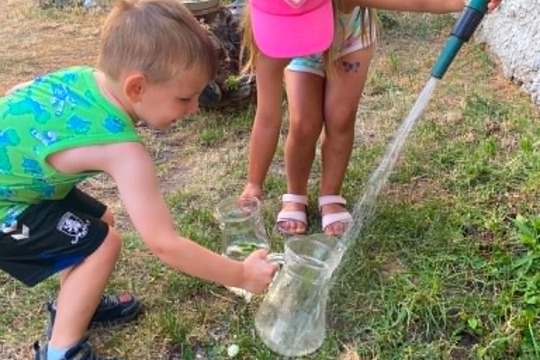 Společně na dálku: Domácí ovocná limonáda plná letních chutí 1