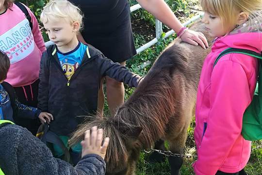 DĚTI Z MŠ MÁNESOVA  KROMĚŘÍŽ  NA FARMĚ  1