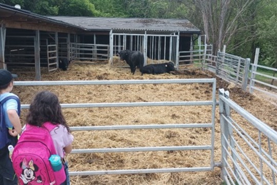 Čtvrťáci poznávali život na farmě i principy ekologického zemědělství Čtvrťáci poznávali život na farmě i principy ekologického zemědělství 1