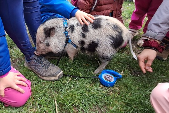 Jarní výlety za zvířátky a top jídlo 17. týdne - rizoto s pohankou, krůtím masem a zeleninou 1