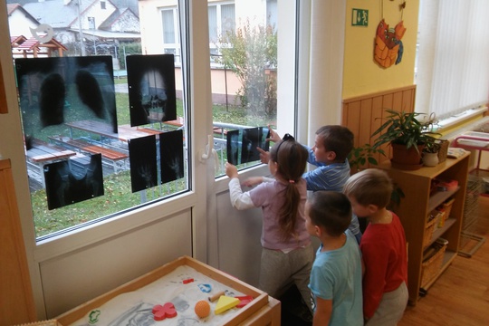 Poznáváme svoje tělo - jak vypadá a funguje? 1