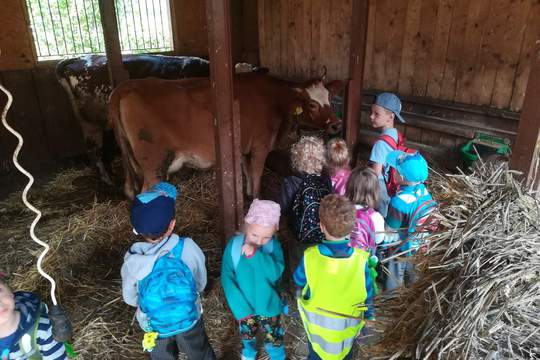 DĚTI Z MŠ MÁNESOVA  KROMĚŘÍŽ  NA FARMĚ  1