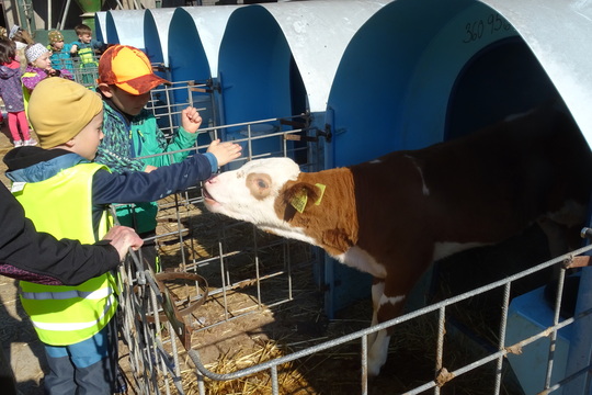 Navštívili jsme místní Ekofarmu Javorník 1