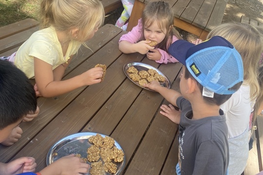 Sušenky přátelství Sušenky přátelství 1