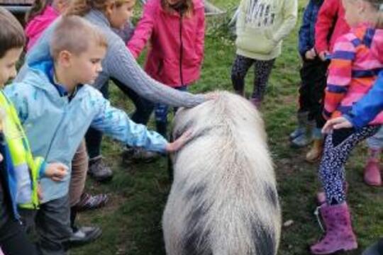 Výlet na farmu Zašovice 1