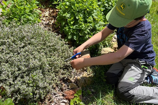 Centrum enviromentální výchovy Stolístek v Linharticích - dobroty ze zahrady 1