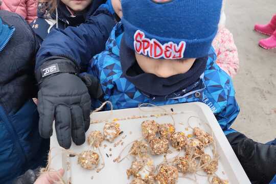 Výroba lojových koulí pro ptáčky 1