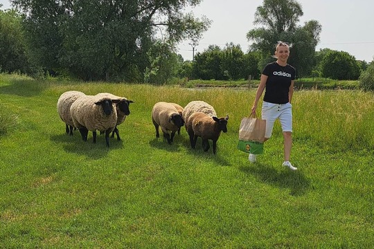 Na farmě v Prušánkách 1