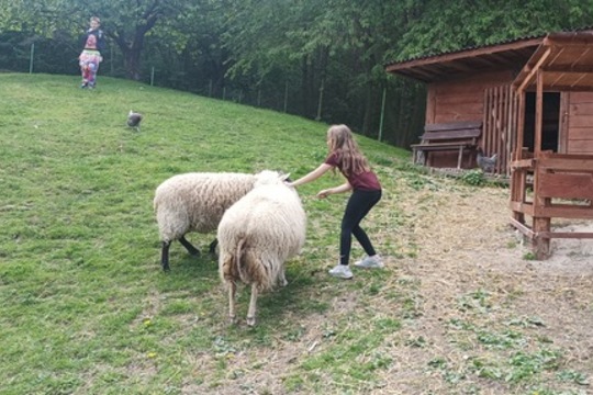 Čtvrťáci poznávali život na farmě i principy ekologického zemědělství Čtvrťáci poznávali život na farmě i principy ekologického zemědělství 1