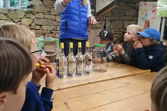 Výroba repelentu Výroba repelentu 1