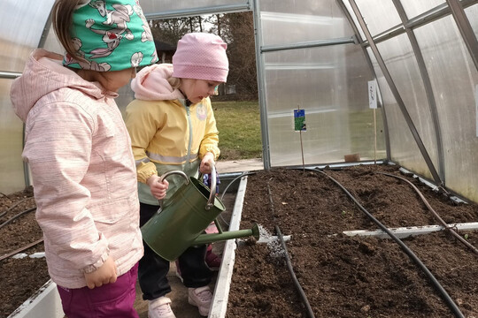 Jak si kdo zasadí, tak si taky sní  1