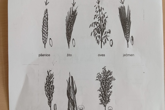 Za poznáním života na bio farmě v Úlovicích Za poznáním života na bio farmě v Úlovicích 1