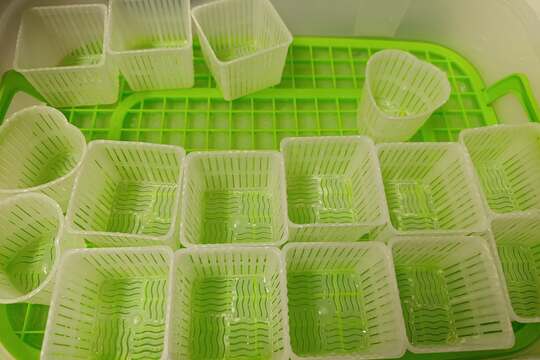 MŠ vyrábí sýry 1