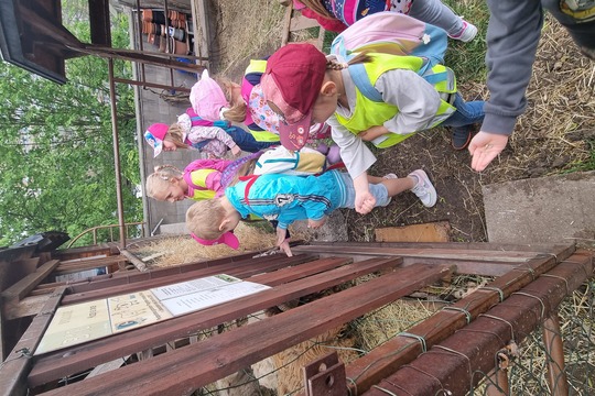 Ježečci z MŠ Soběchleby - Návštěva Bioparku v Teplicích 1
