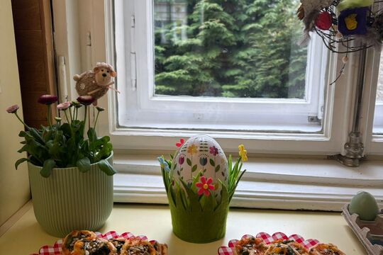 Jarní šneci s medvědím česnekem 1