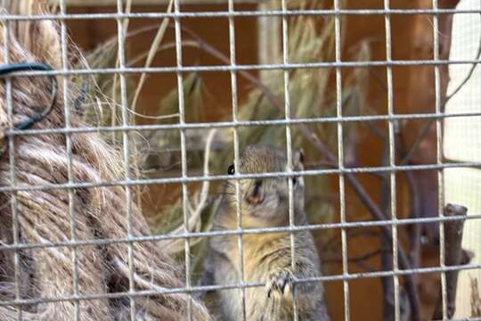 Podzimní putování za zvířátky 1