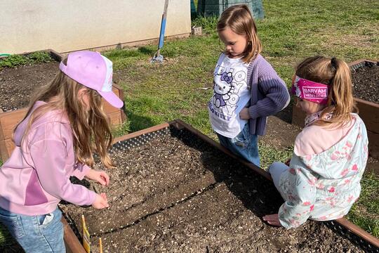 Vyvýšené záhony  1